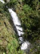 4.30.06 Hamilton Mountain 009 